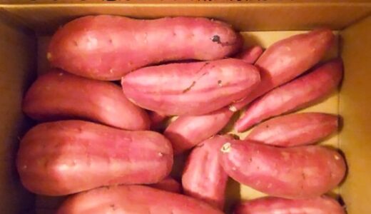 千葉産紅はるか徹底ガイド！甘さ際立つ選び方・保存・簡単レシピで旬を楽しもう